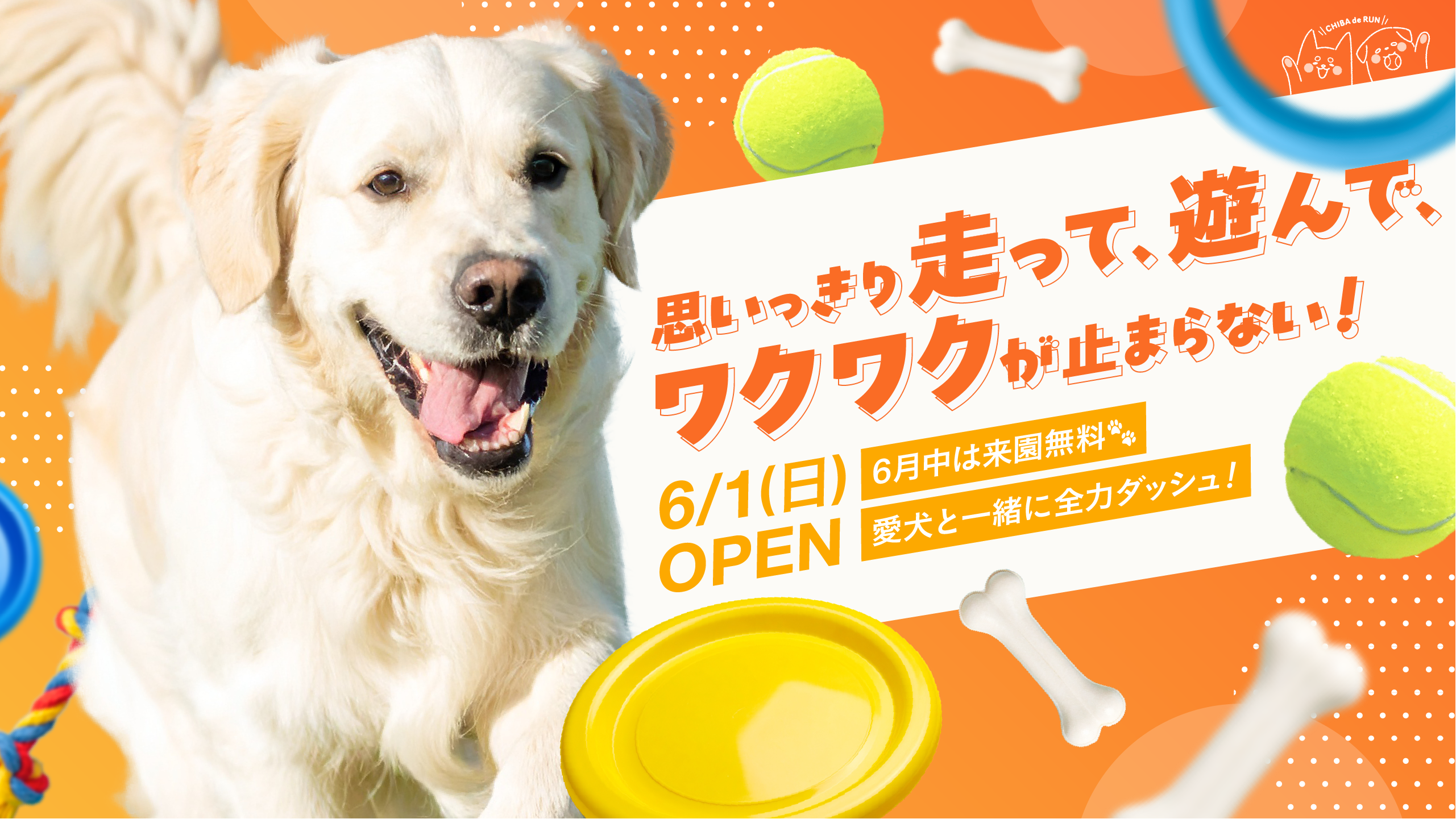 PC版 LPサイトファーストビュー